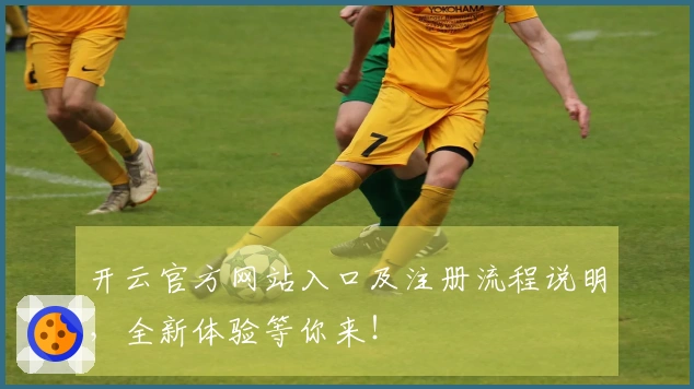 开云官方网站入口及注册流程说明,全新体验等你来!